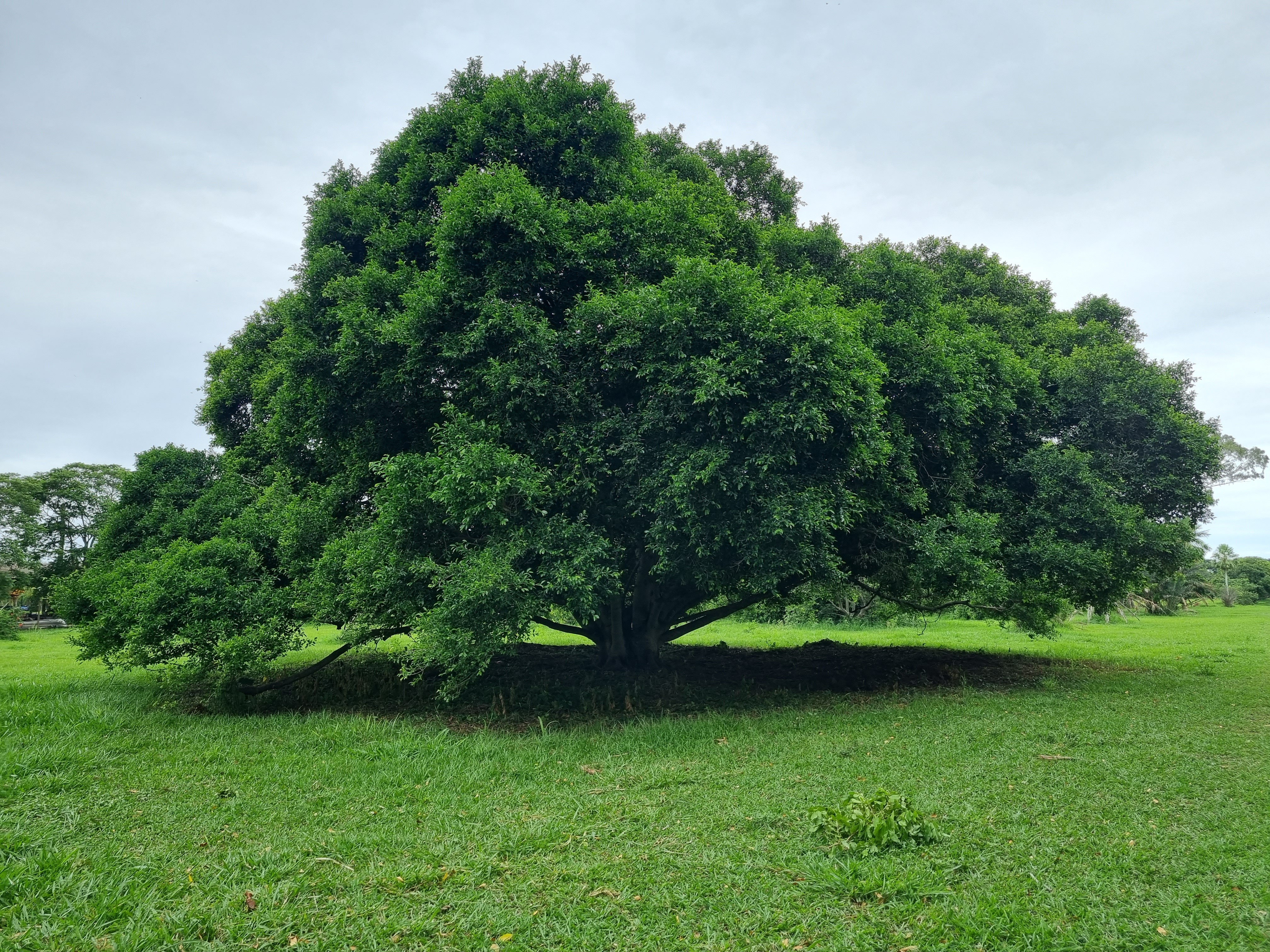 Paisajes, Flora y Fauna - 20211130 112428